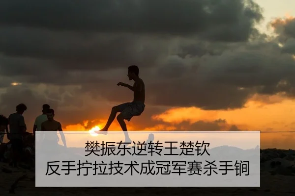 fan-zhen-dong-ni-zhuan-wang-chu-qin-fan-shou-ning-la-ji-shu-cheng-guan-jun-sai-sha-shou-jian-2-301.jpg